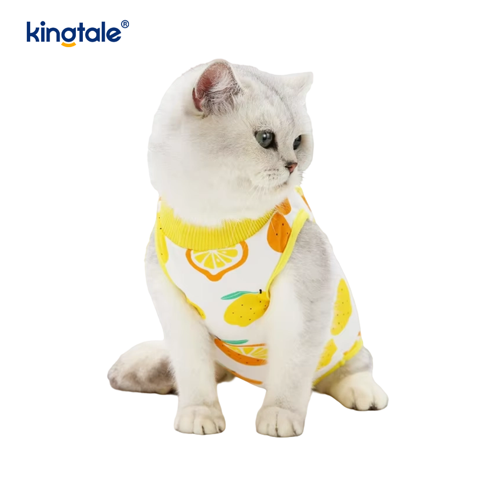 Dog Recovery Clothes