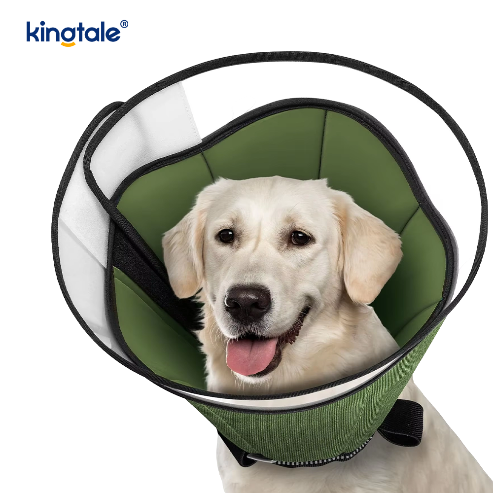 Soft Dog Cone for Dogs After Surgery