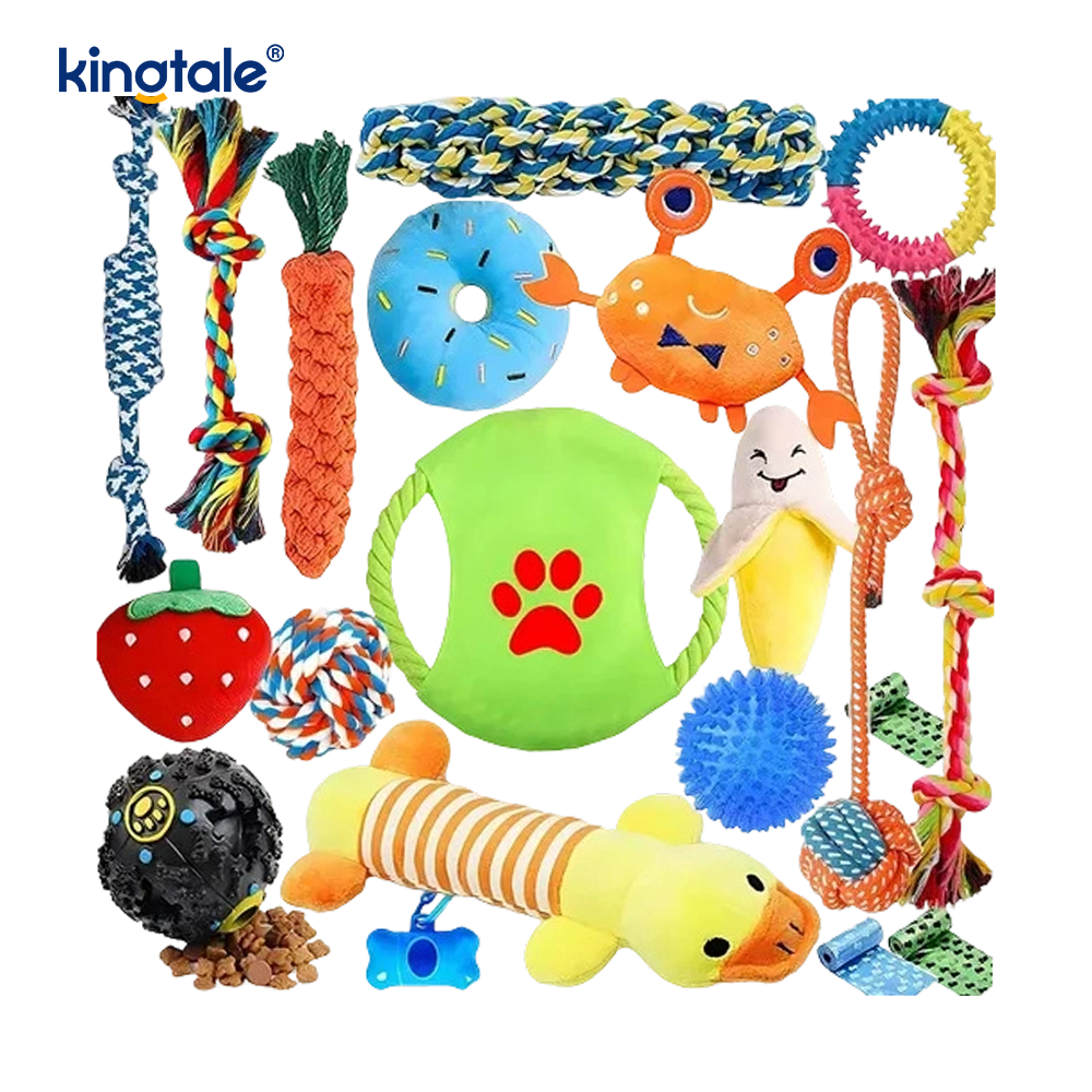 20PCS Pet Rope Toy Set for Teething and Fun Indoor
