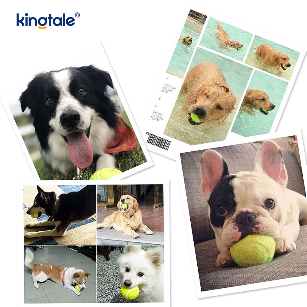 Pet Toy Tennis Durable and bite-resistant for Pet Chew Exercise Interactive