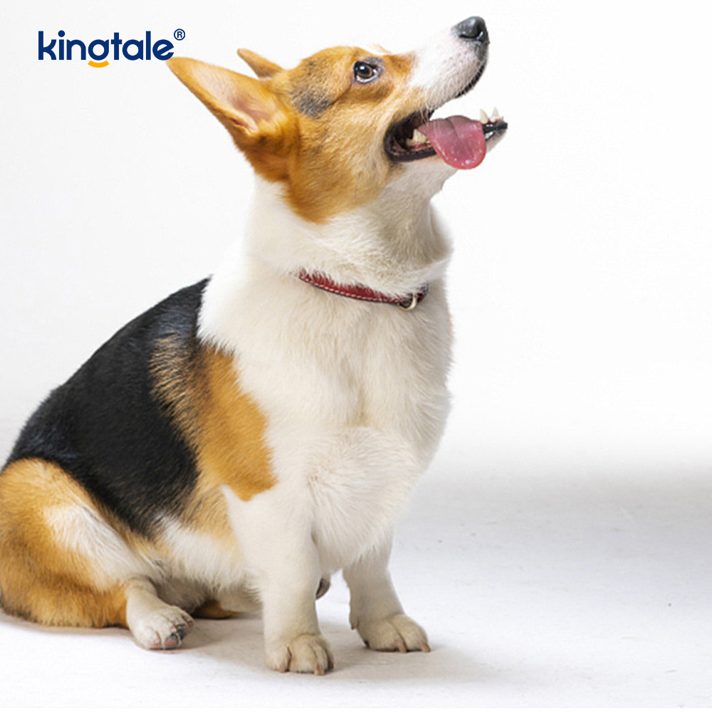 Dog Toy Pull-Out Chewable Rubber Treat Ball Indoor And Outdoor