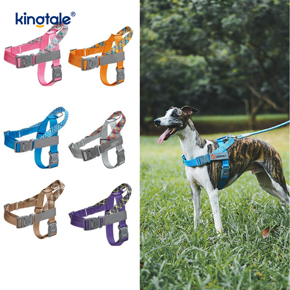 Developed Braid Nylon Webbing Highlight Reflective Dog Harness 