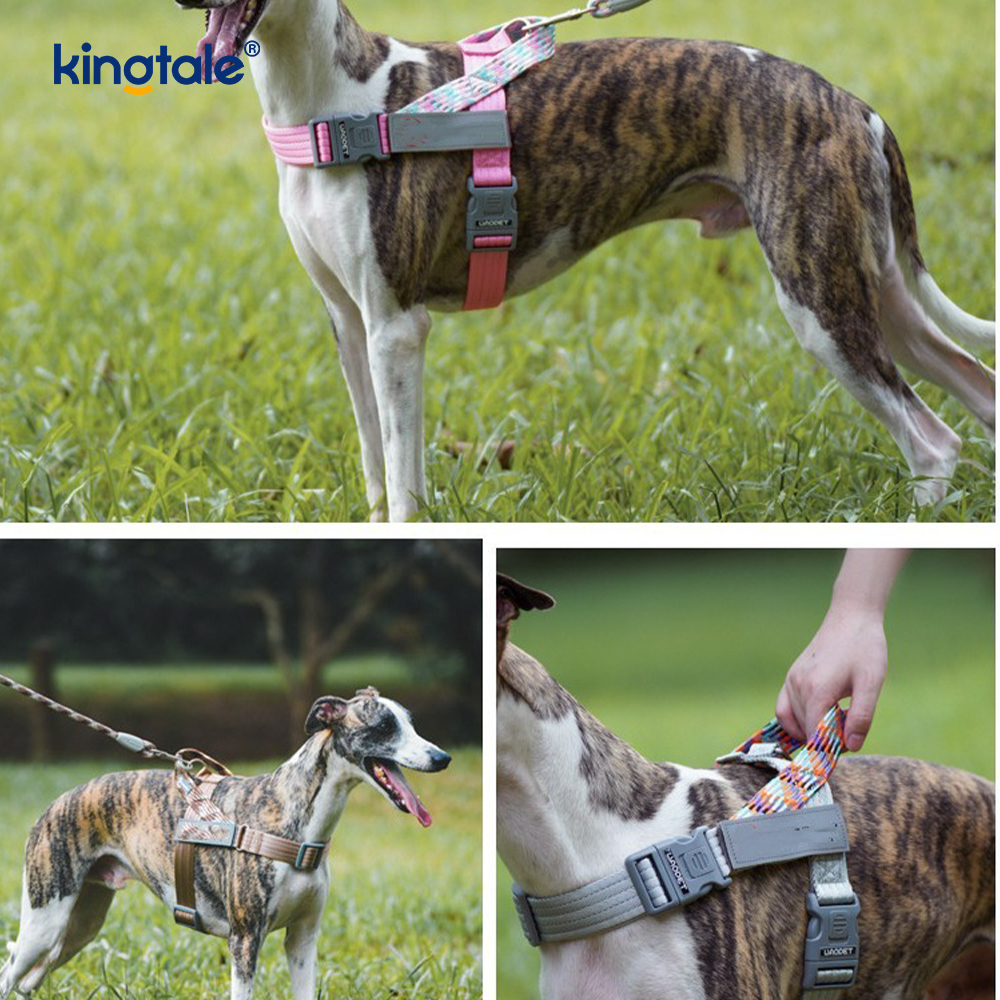 Developed Braid Nylon Webbing Highlight Reflective Dog Harness 