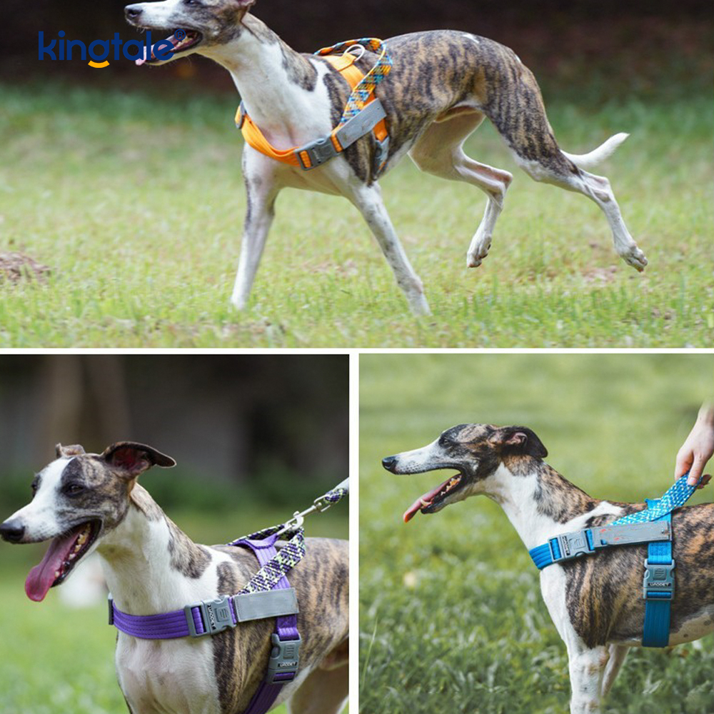 Developed Braid Nylon Webbing Highlight Reflective Dog Harness 