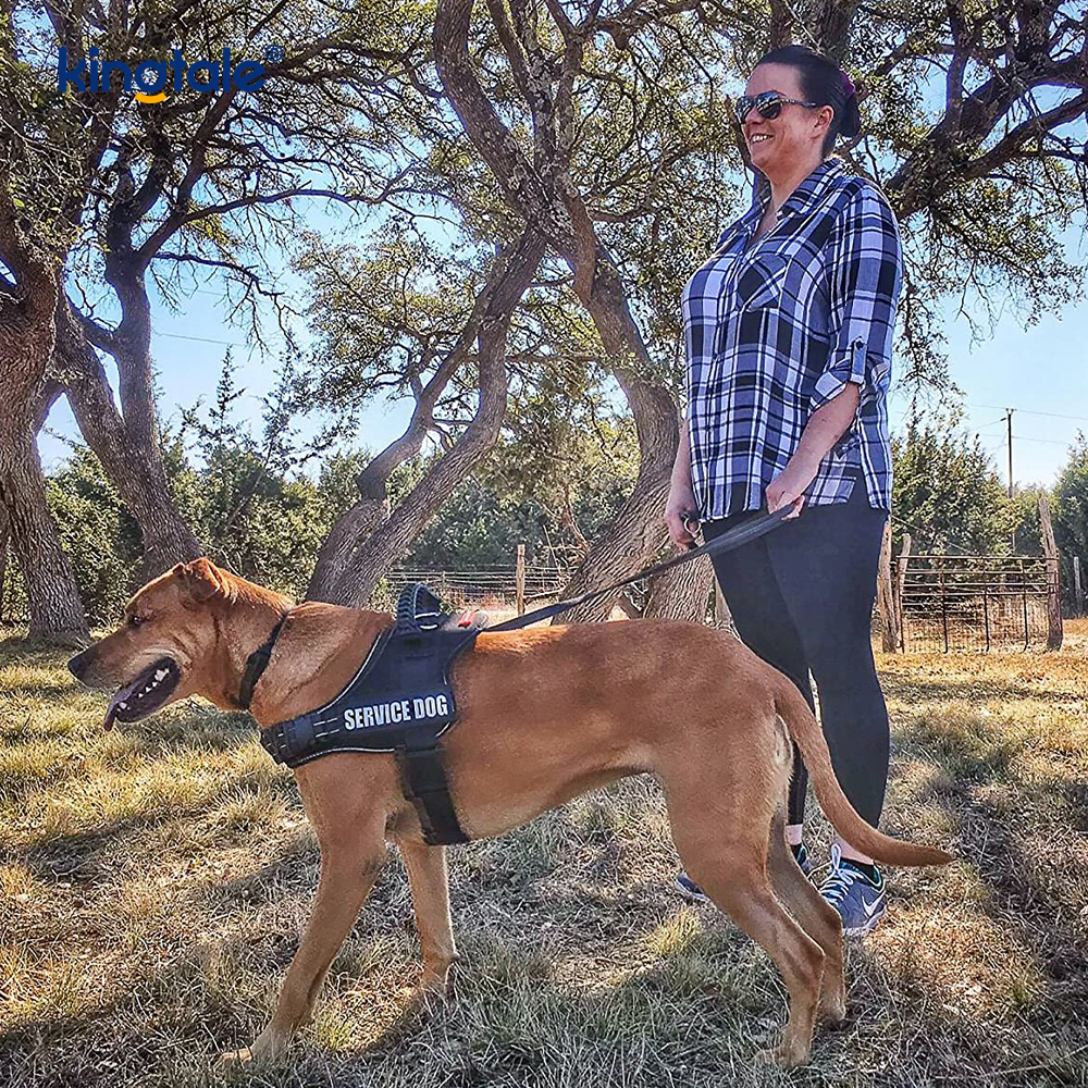 No Pull Reflective Designer Dog Harness Solid Nylon Rope Dog Leash 