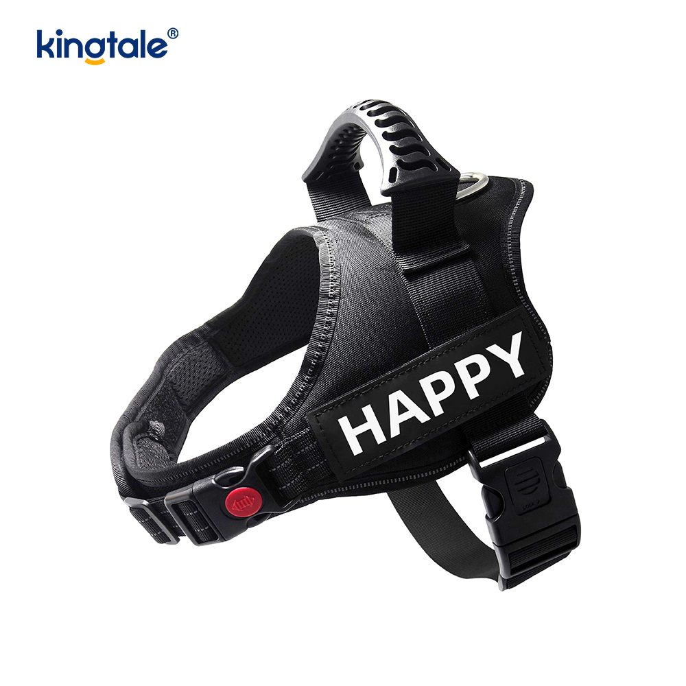 No Pull Reflective Designer Dog Harness Solid Nylon Rope Dog Leash 