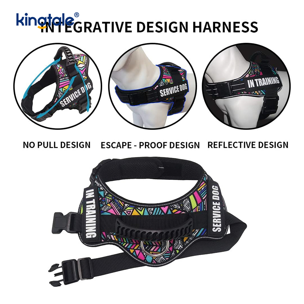 No Pull Reflective Designer Dog Harness Solid Nylon Rope Dog Leash 