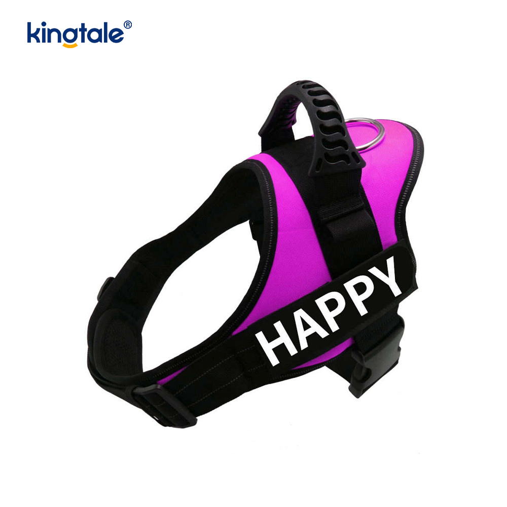 No Pull Reflective Designer Dog Harness Solid Nylon Rope Dog Leash 