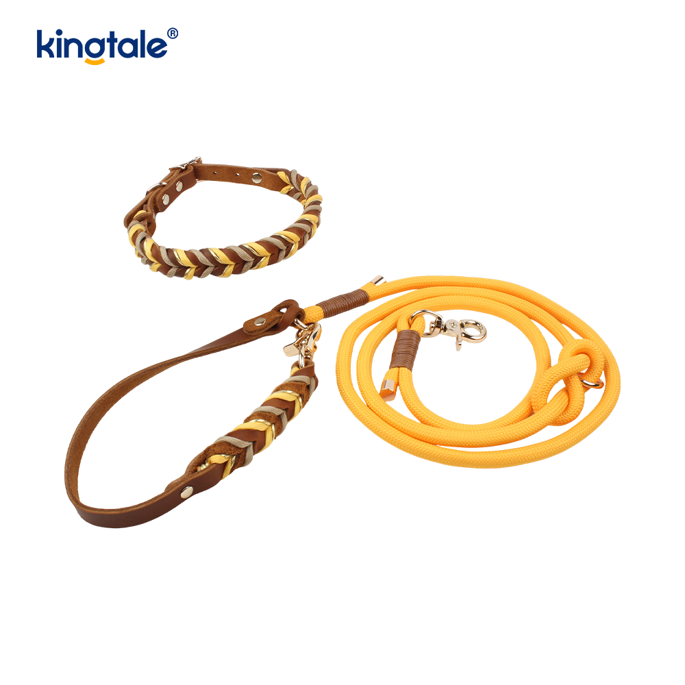 Genuine Leather Pet Collars & Leashes Dog Rope Collar & Leash Set