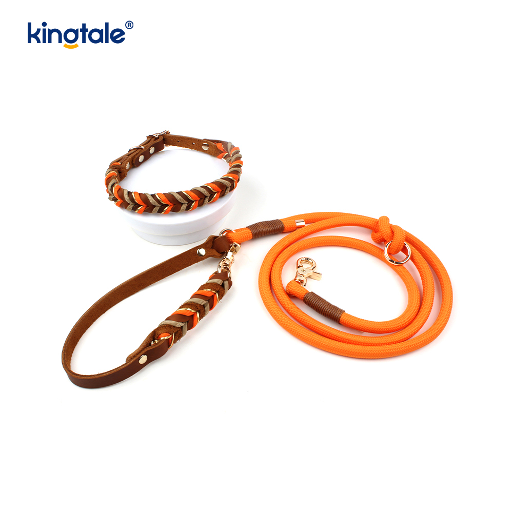 Genuine Leather Pet Collars & Leashes Dog Rope Collar & Leash Set