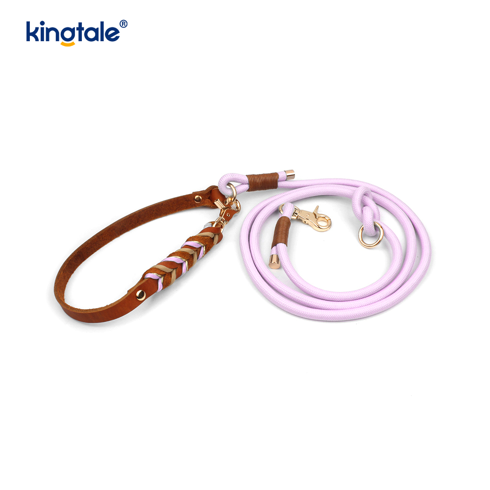 Genuine Leather Pet Collars & Leashes Dog Rope Collar & Leash Set