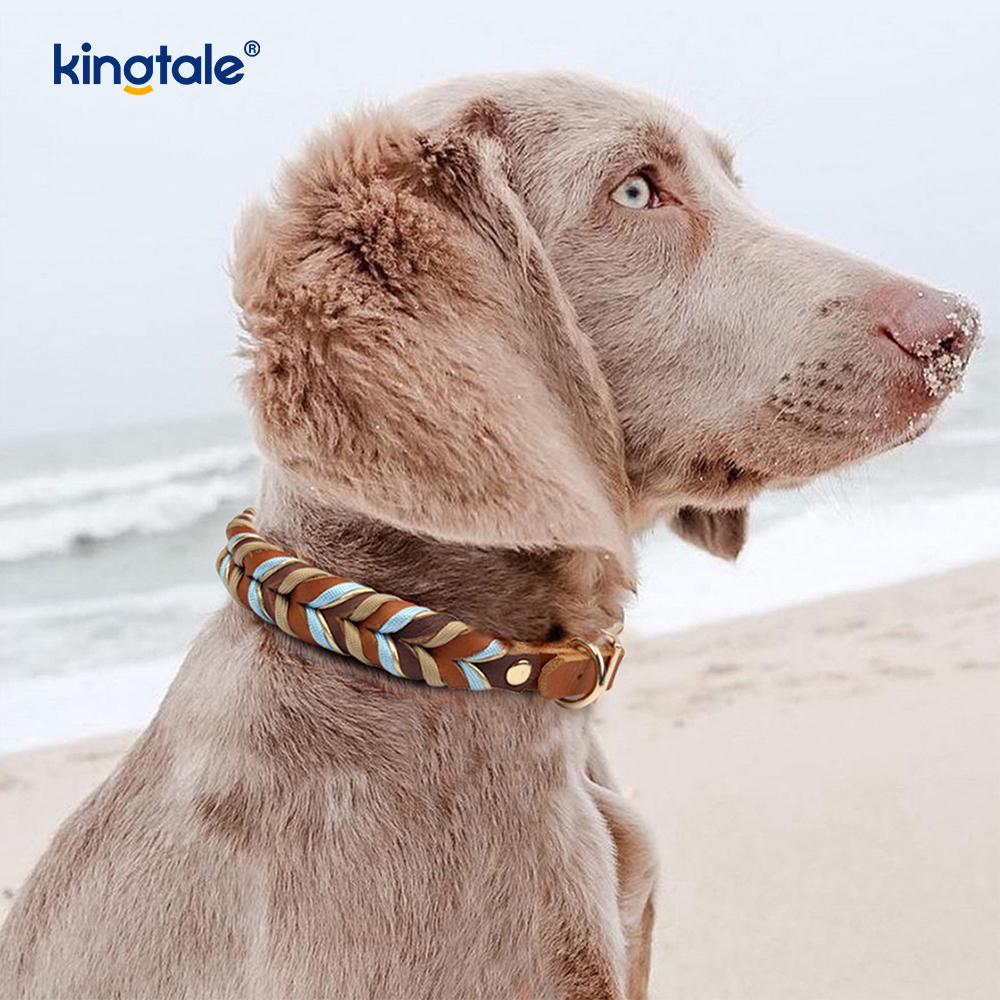 Genuine Leather Pet Collars & Leashes Dog Rope Collar & Leash Set