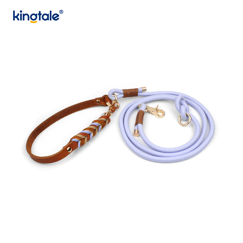 Genuine Leather Pet Collars & Leashes Dog Rope Collar & Leash Set