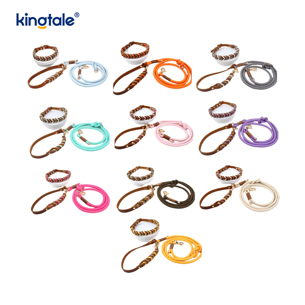 Genuine Leather Pet Collars & Leashes Dog Rope Collar & Leash Set