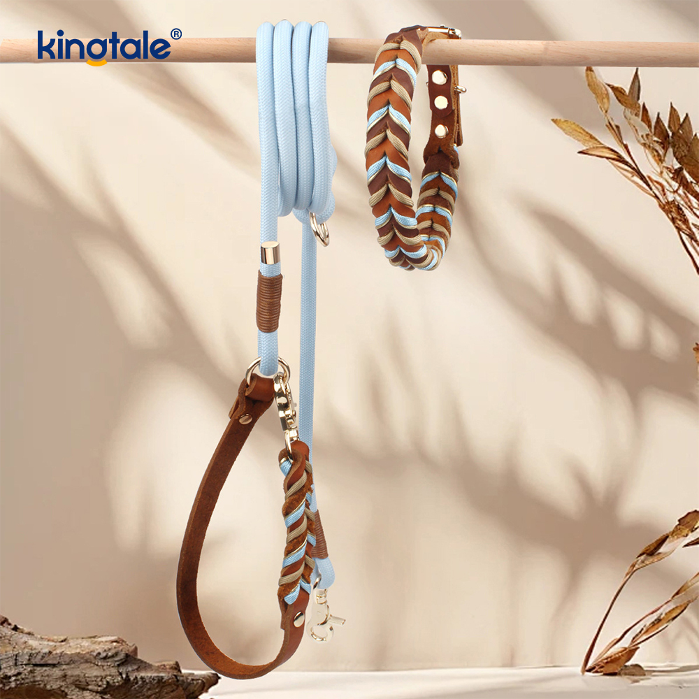 Genuine Leather Pet Collars & Leashes Dog Rope Collar & Leash Set