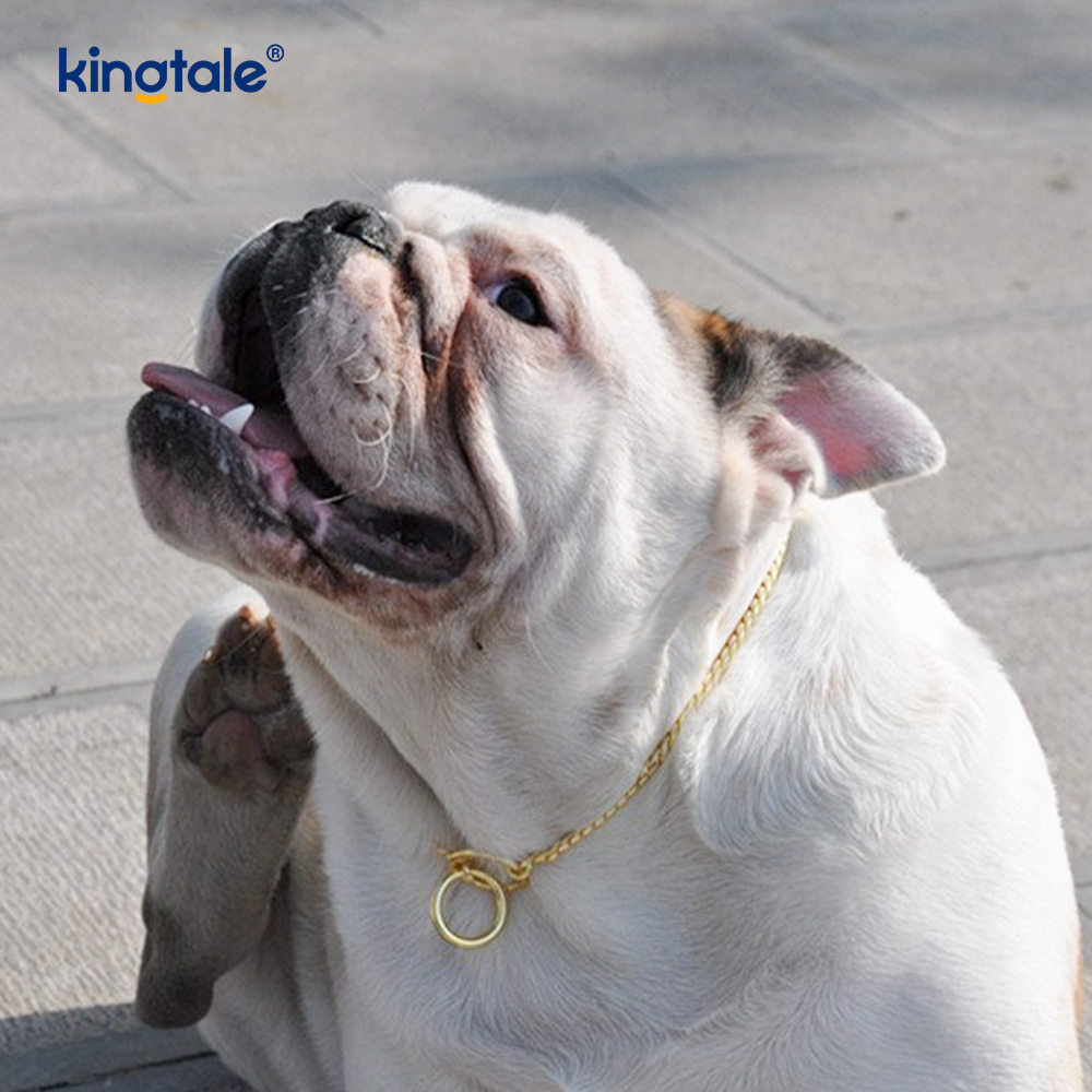 Pure Copper Metal Snake Dog Chain Collar For Small & Medium Dogs