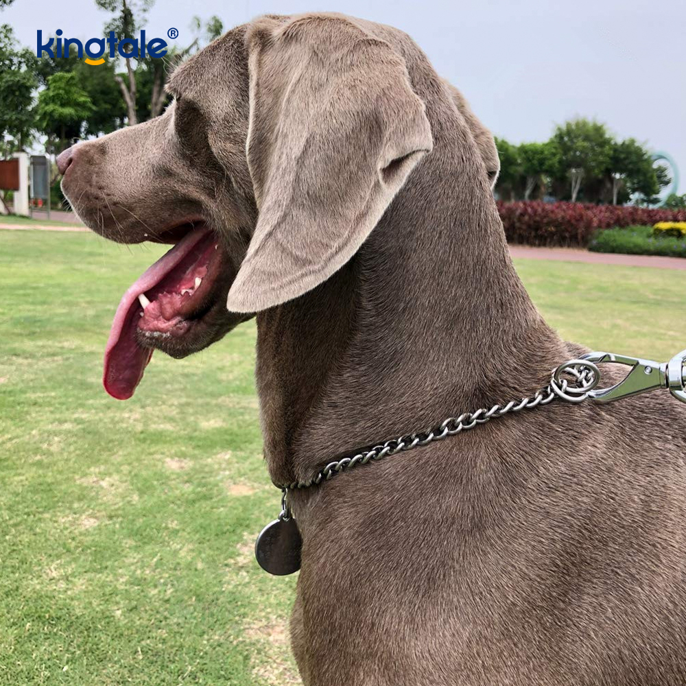 Metal Training Dog Choke Collar Slip P Chain Heavy Chain For Dogs