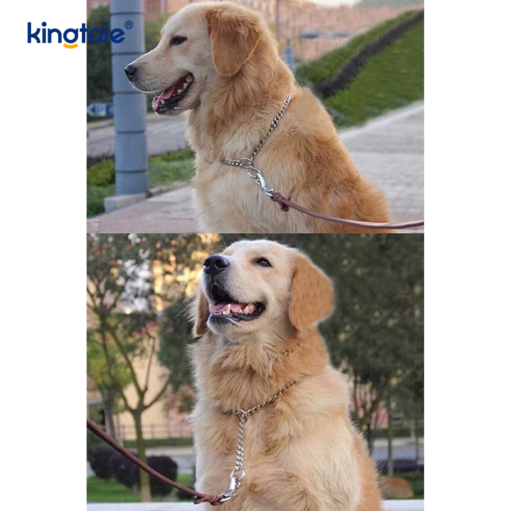 Metal Training Dog Choke Collar Slip P Chain Heavy Chain For Dogs