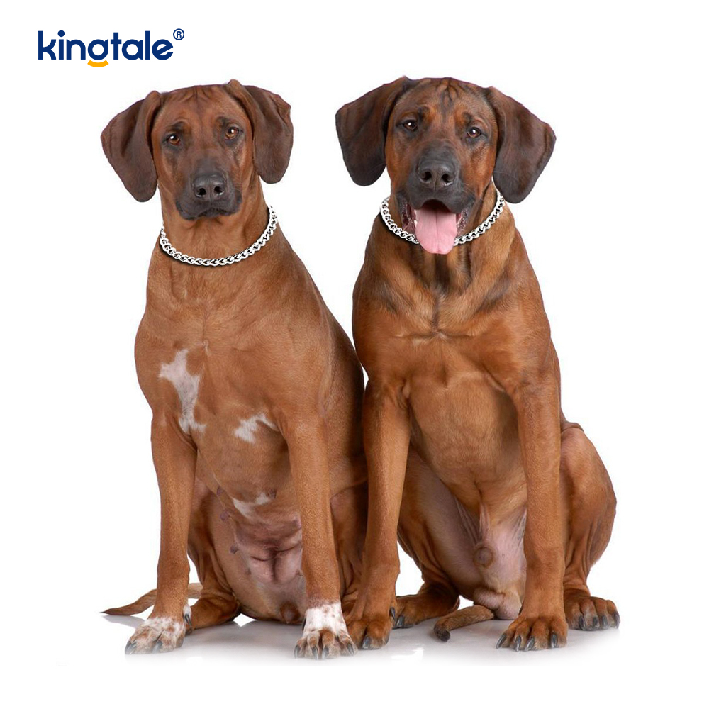 Metal Training Dog Choke Collar Slip P Chain Heavy Chain For Dogs