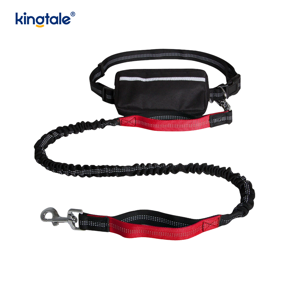 Reflective Elastic Double Running Pet Leash With Zipper Pouch