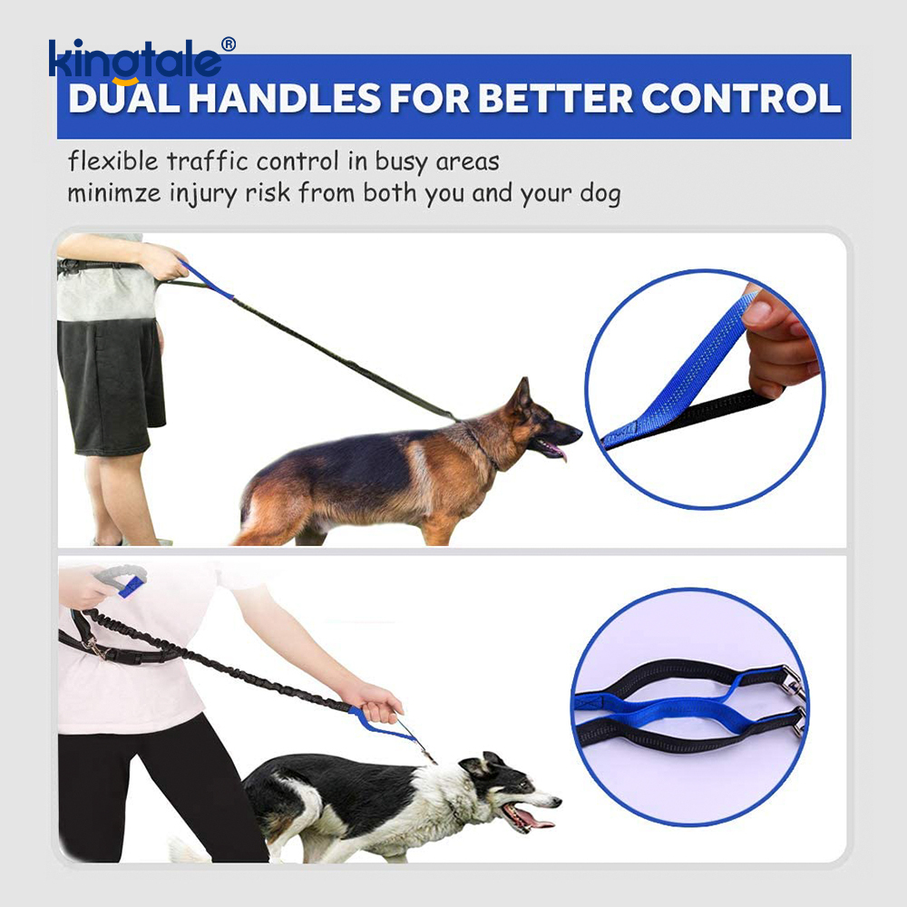 Reflective Elastic Double Running Pet Leash With Zipper Pouch