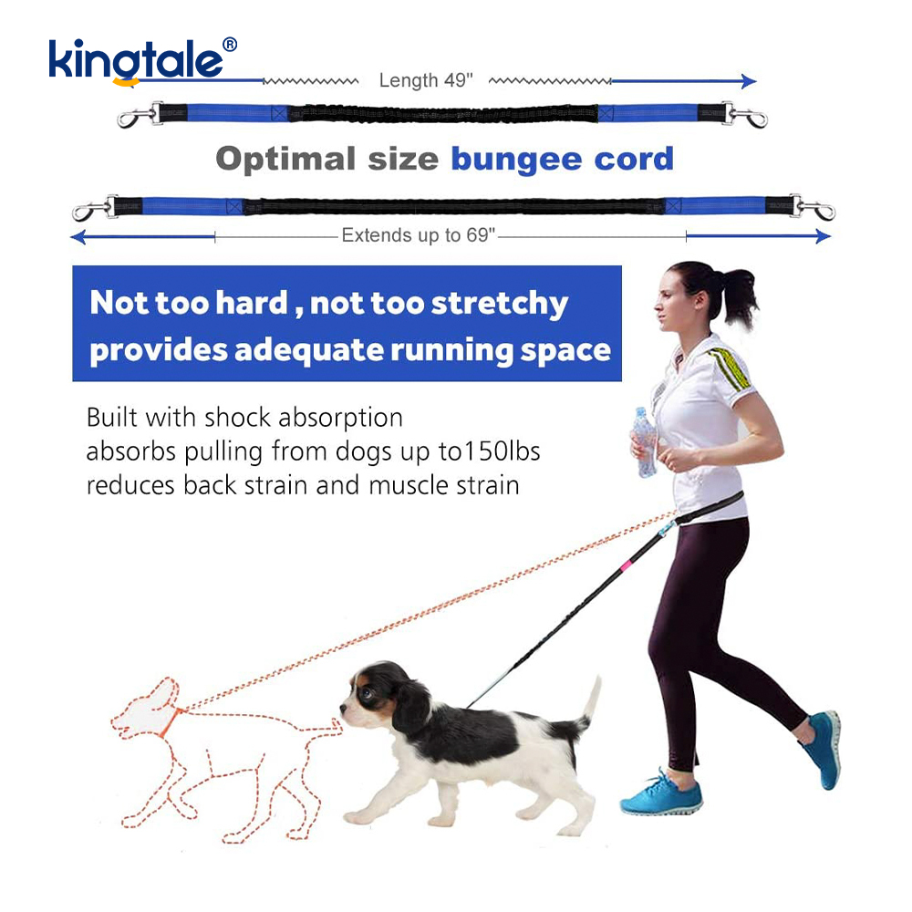 Reflective Elastic Double Running Pet Leash With Zipper Pouch