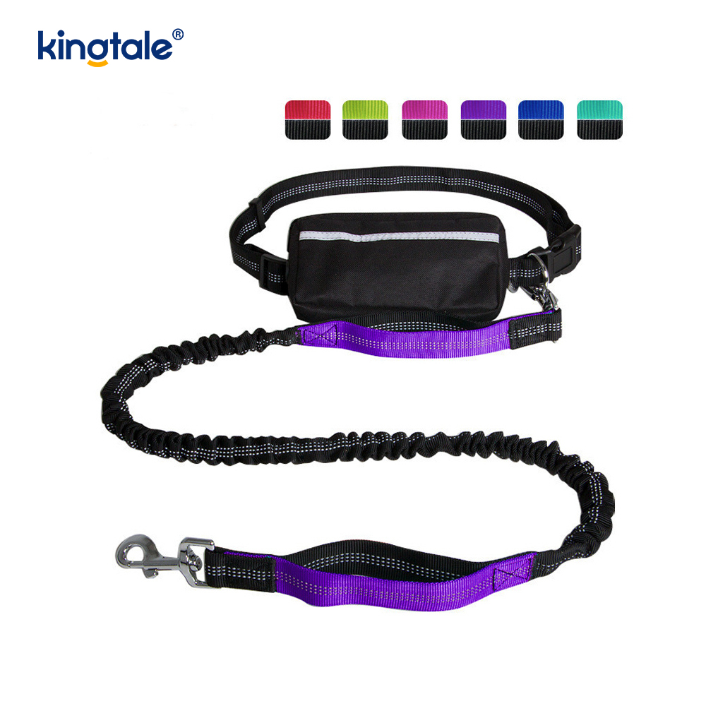 Reflective Elastic Double Running Pet Leash With Zipper Pouch