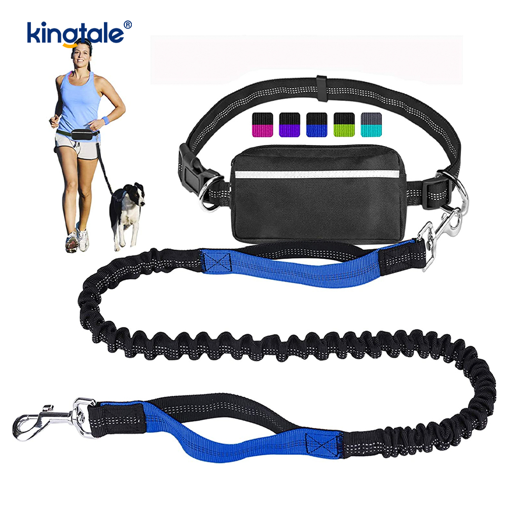 Reflective Elastic Double Running Pet Leash With Zipper Pouch