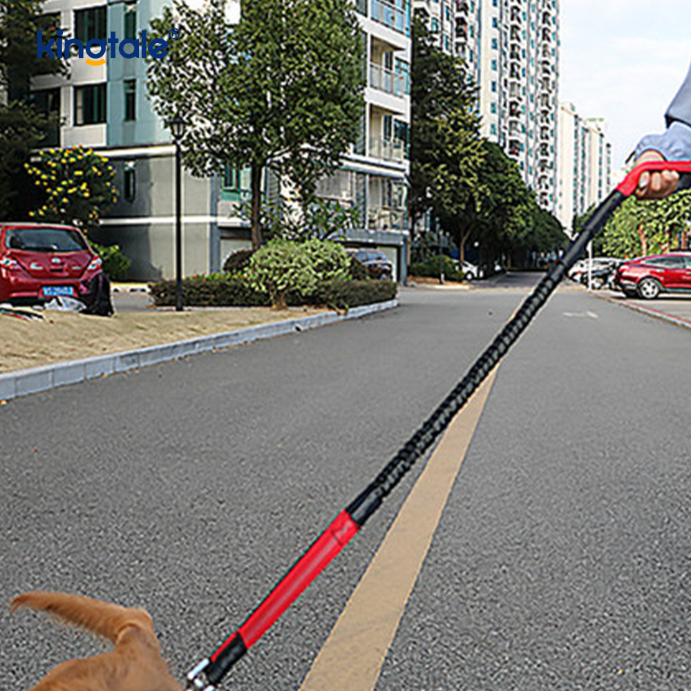 Reflective Elastic Double Running Pet Leash With Zipper Pouch