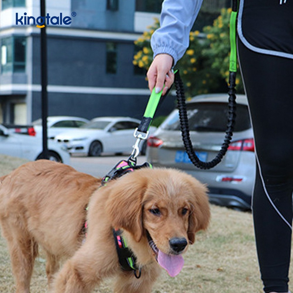 Reflective Elastic Double Running Pet Leash With Zipper Pouch