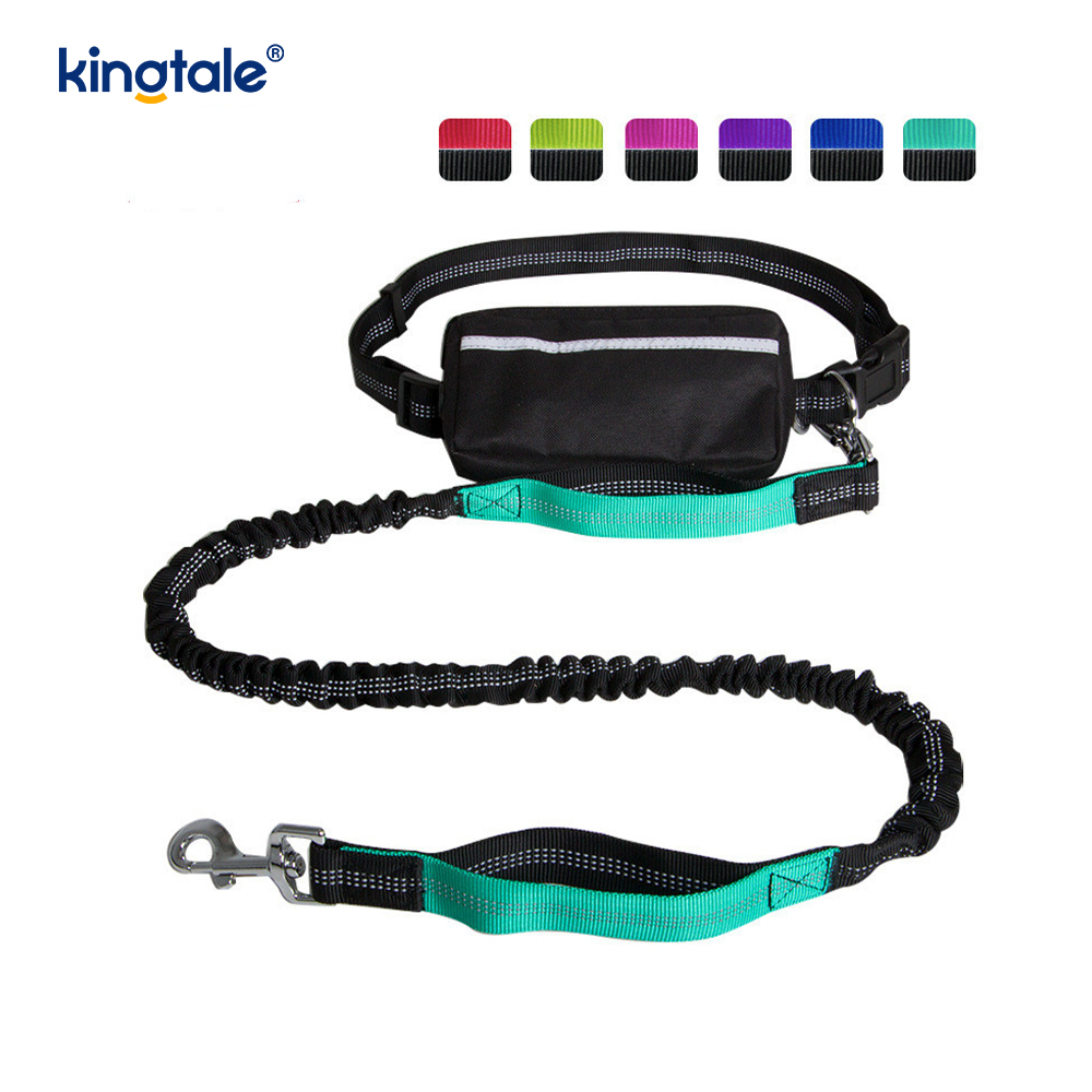 Reflective Elastic Double Running Pet Leash With Zipper Pouch