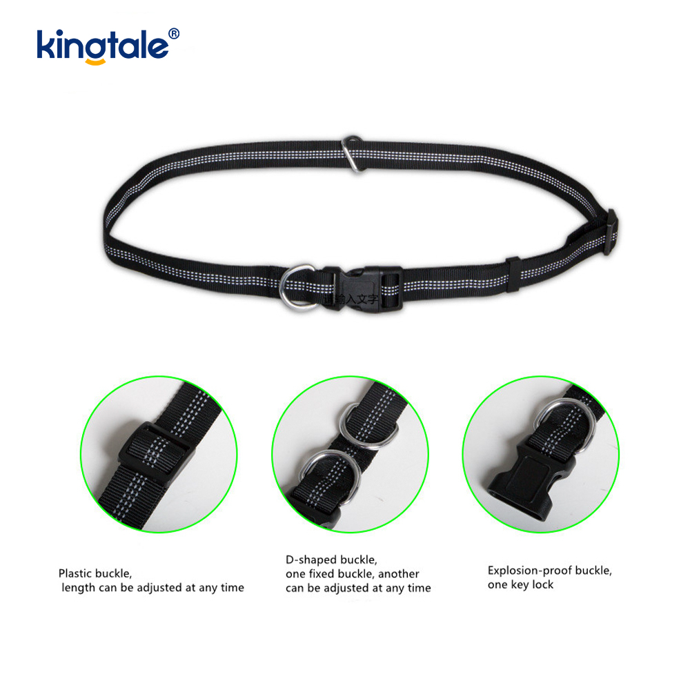 Reflective Elastic Double Running Pet Leash With Zipper Pouch