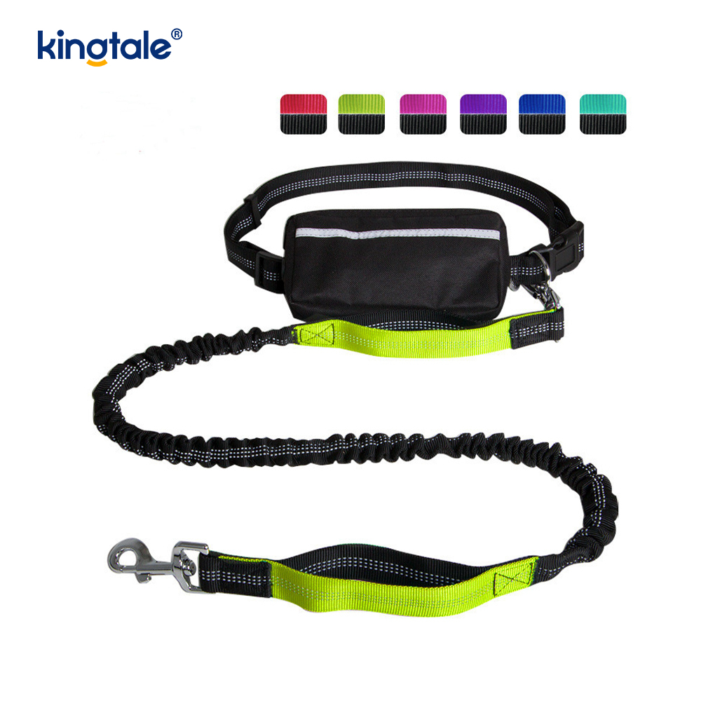 Reflective Elastic Double Running Pet Leash With Zipper Pouch