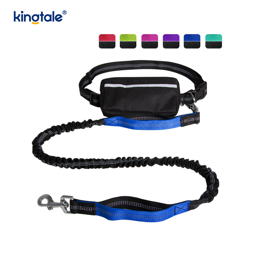 Reflective Elastic Double Running Pet Leash With Zipper Pouch