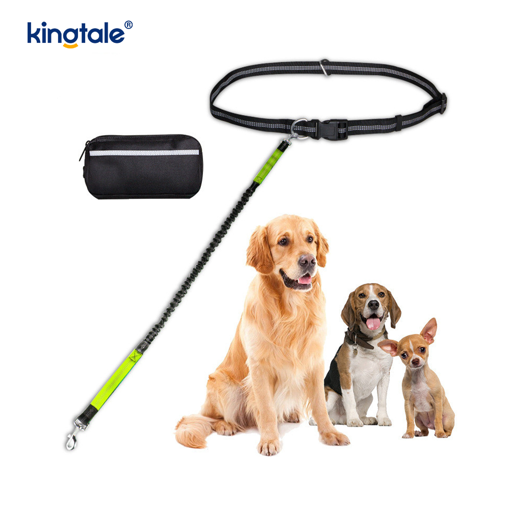Reflective Elastic Double Running Pet Leash With Zipper Pouch