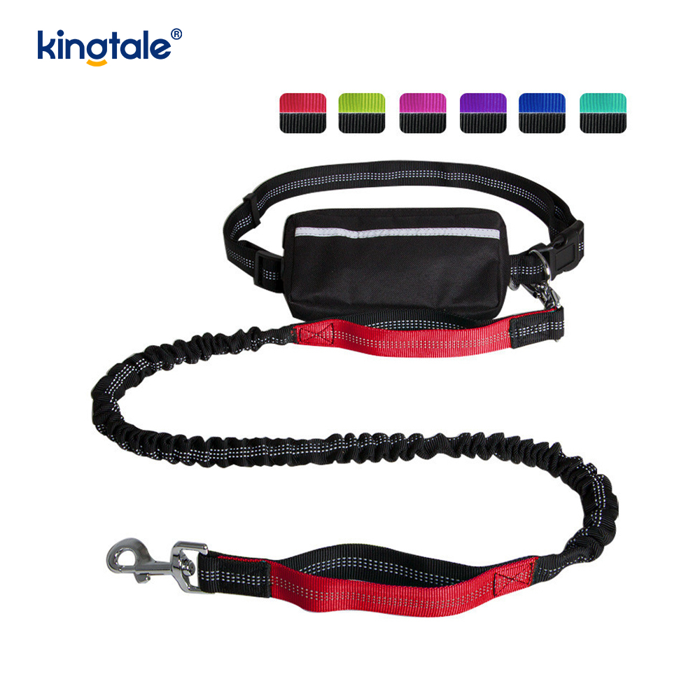 Reflective Elastic Double Running Pet Leash With Zipper Pouch
