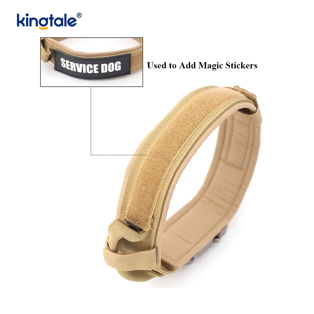 Metal Buckle Belt Dog Collar Heavy Duty Dog Collar Heavy Duty