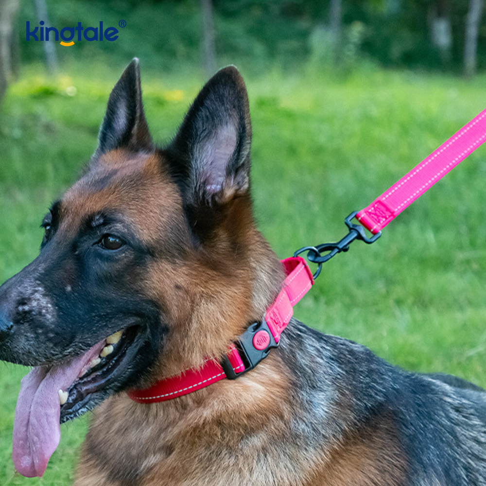 No Pull Reflective Adjustable Nylon Martingale Dog Collar For S M L Dogs