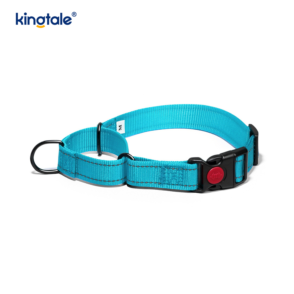 No Pull Reflective Adjustable Nylon Martingale Dog Collar For S M L Dogs