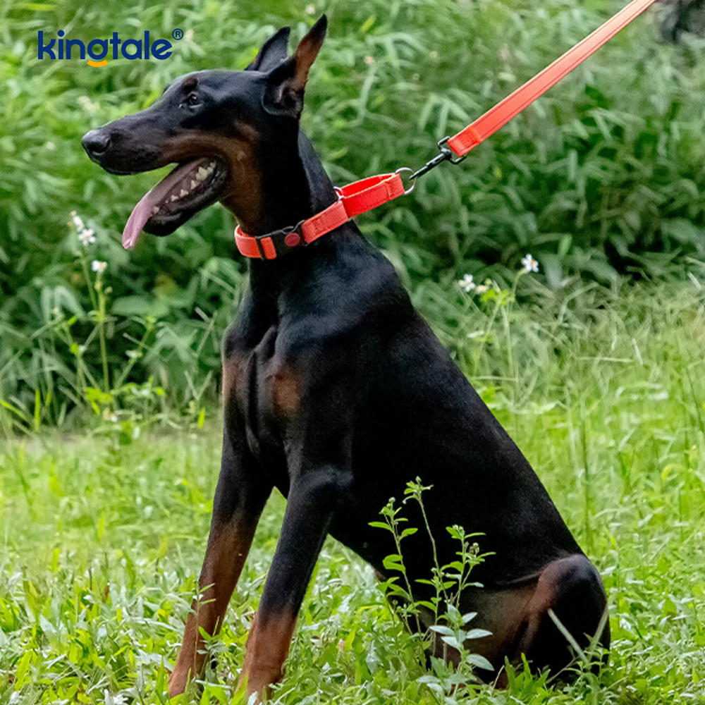 No Pull Reflective Adjustable Nylon Martingale Dog Collar For S M L Dogs