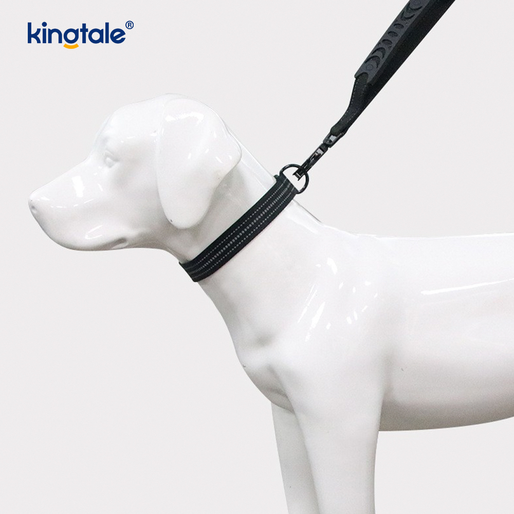 Reflective No Pull Heavy Duty Tactical Dog Collar Leash Bungee Lead