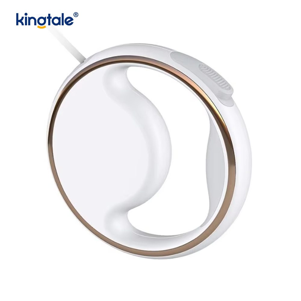 Simple Modern Led Lighting Automatic Retractable Nylon Dog Collar Leash