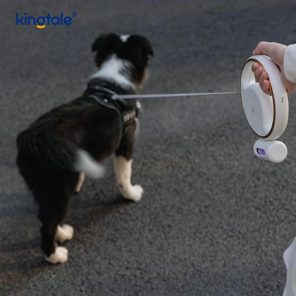 Simple Modern Led Lighting Automatic Retractable Nylon Dog Collar Leash