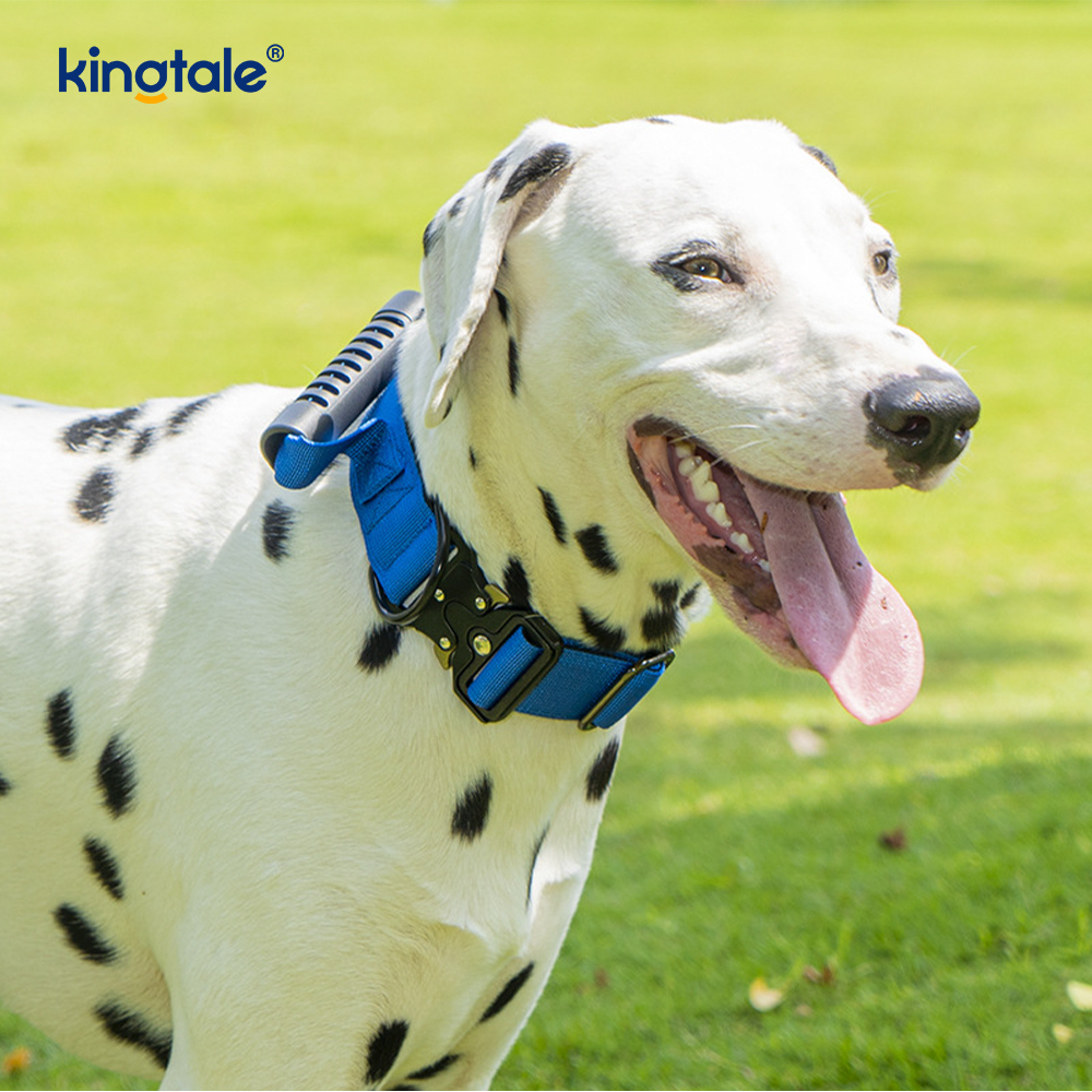 Tactical Training Nylon Control Handle & Quick-Release Metal Buckle Collar