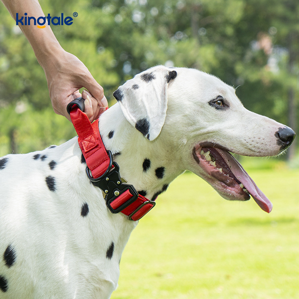 Tactical Training Nylon Control Handle & Quick-Release Metal Buckle Collar