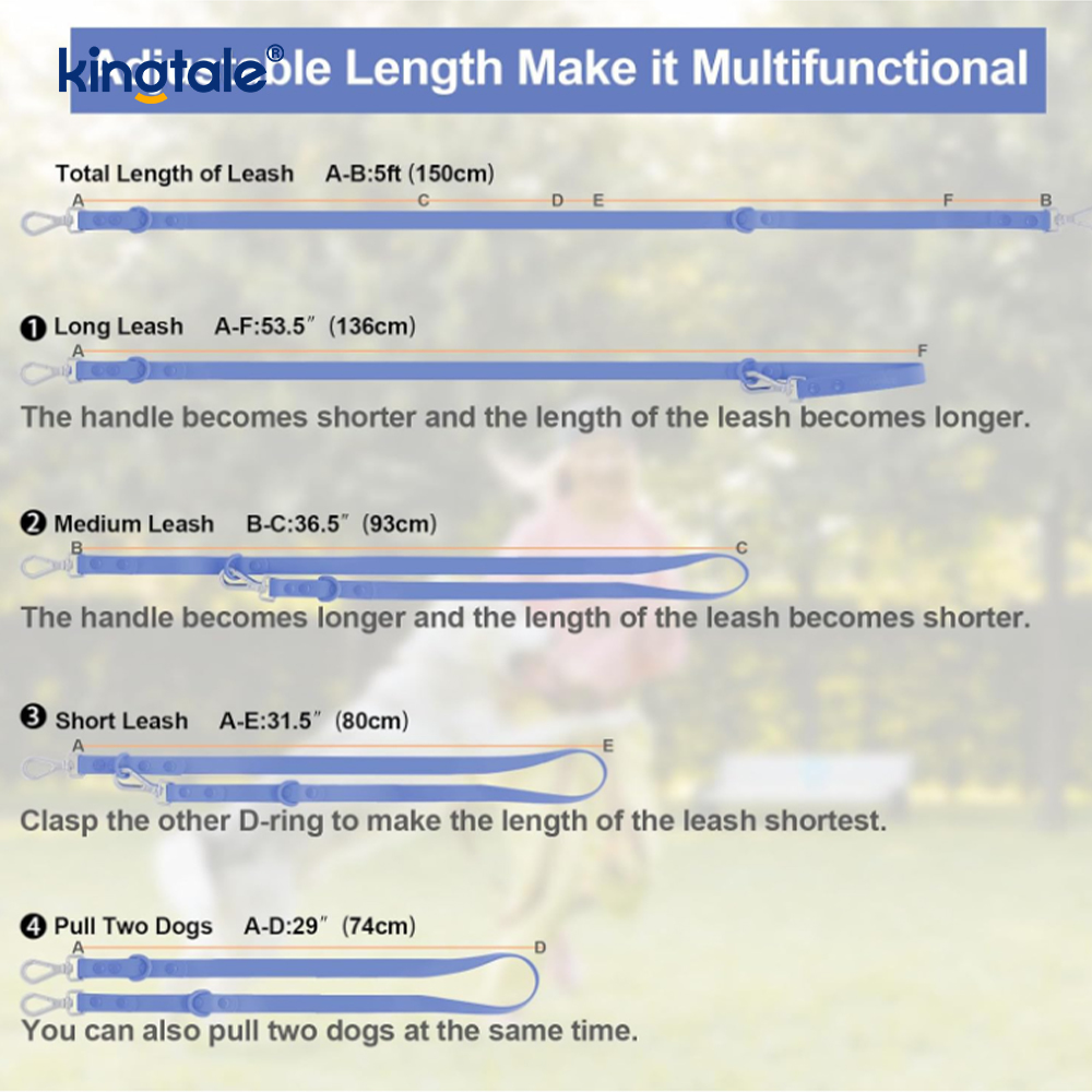 Custom Pet Adjustable Pvc No Pull Lightweight Dog Harness Leash Collar