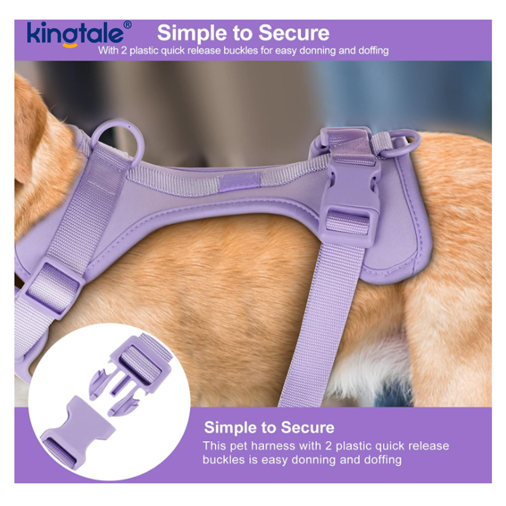 Custom Pet Adjustable Pvc No Pull Lightweight Dog Harness Leash Collar