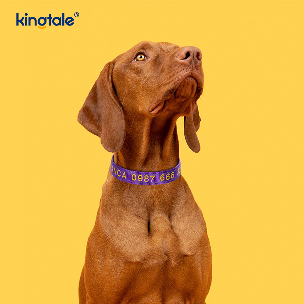 Service Dog Collar Coded Buckle Design For Preventing Accidents Warns