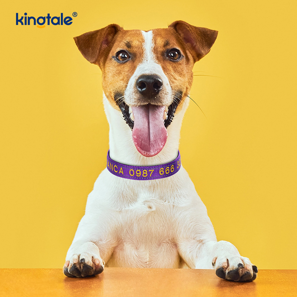 Service Dog Collar Coded Buckle Design For Preventing Accidents Warns