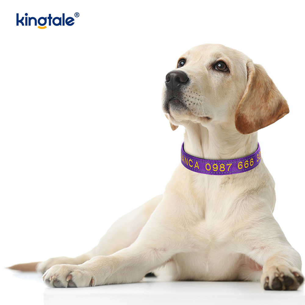 Service Dog Collar Coded Buckle Design For Preventing Accidents Warns